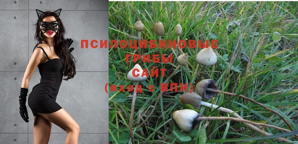 mdma Инсар