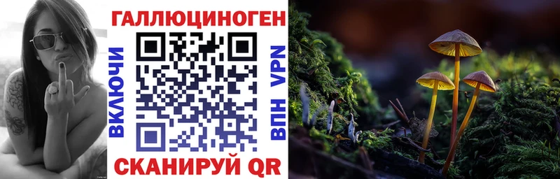 Купить  Ладушкин  Галлюциногенные грибы Cubensis 